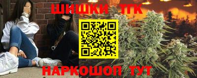 ешки Новодвинск