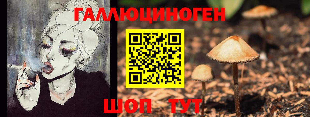 Псилоцибиновые грибы Magic Shrooms  Галлюциногенные грибы Psilocybine cubensis  даркнет сайт  Вход с VPN  Тобольск 
