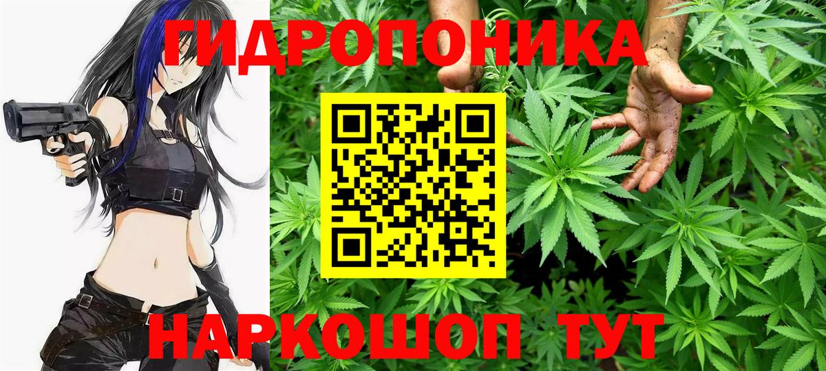 Бошки марихуана Bruce Banner Тобольск